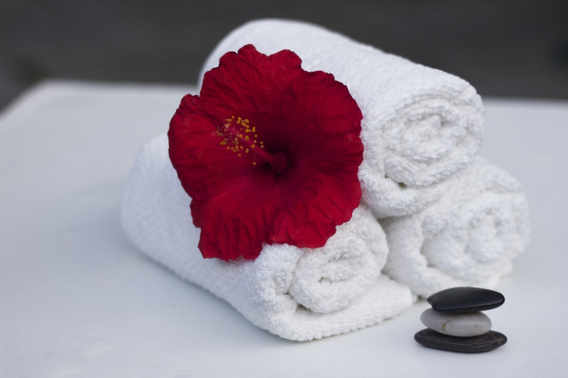 chambre-hote-SIX FOURS LES PLAGES-min_towel_hibiscus_clean_care_salon_spa_white_bath-869834